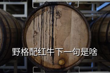 野格配红牛下一句是啥