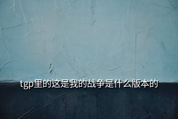 tgp里的这是我的战争是什么版本的