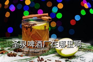 圣泉啤酒厂在哪里啊