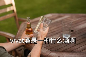 vivat酒是一种什么酒啊