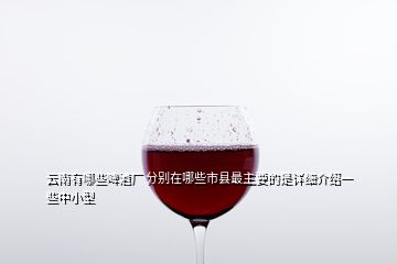 云南有哪些啤酒厂 分别在哪些市县最主要的是详细介绍一些中小型