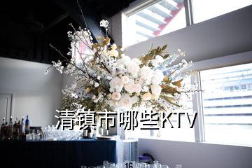 清镇市哪些KTV