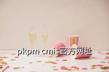 pkpm cmis官方网址