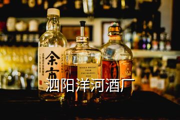 泗阳洋河酒厂