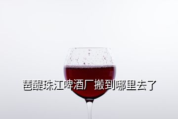 琶醍珠江啤酒厂搬到哪里去了