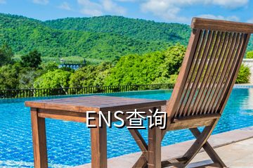 ENS查询