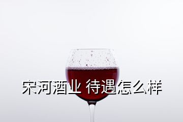 宋河酒业 待遇怎么样