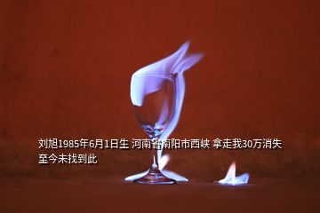 刘旭1985年6月1日生 河南省南阳市西峡 拿走我30万消失 至今未找到此