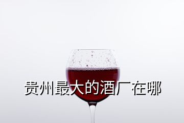 贵州最大的酒厂在哪