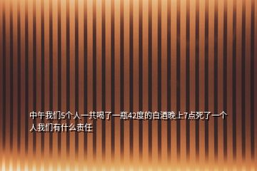 中午我们5个人一共喝了一瓶42度的白酒晚上7点死了一个人我们有什么责任