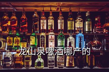 龙山泉啤酒哪产的