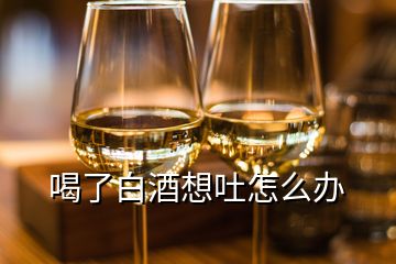 喝了白酒想吐怎么办