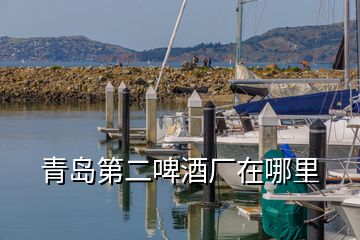 青岛第二啤酒厂在哪里