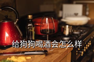 给狗狗喝酒会怎么样