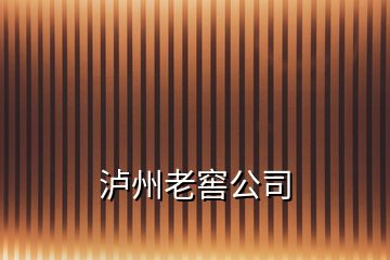 泸州老窖公司