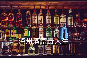 泸州酒富贵人生