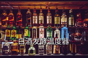 白酒发酵温度器