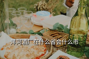 洋河酒厂在什么省会什么市