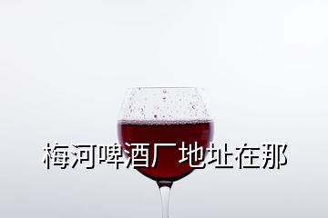 梅河啤酒厂地址在那