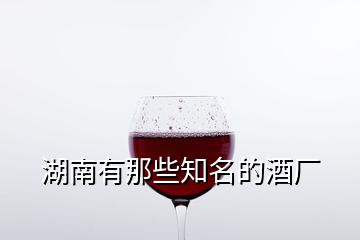 湖南有那些知名的酒厂