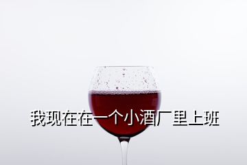 我现在在一个小酒厂里上班