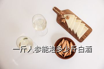 一斤人参能泡多少斤白酒