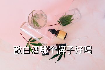 散白酒哪个牌子好喝