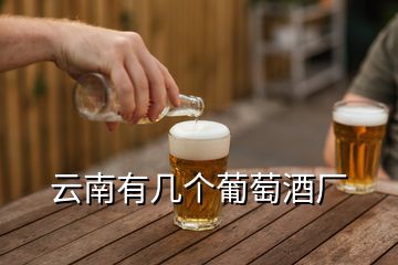 云南有几个葡萄酒厂