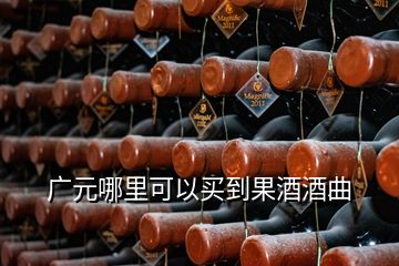 广元哪里可以买到果酒酒曲