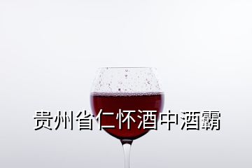 贵州省仁怀酒中酒霸