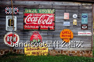 bandicoot是什么档次