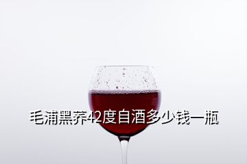 毛浦黑荞42度自酒多少钱一瓶