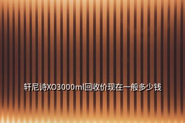 轩尼诗XO3000ml回收价现在一般多少钱