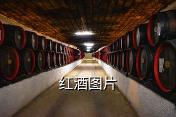 红酒图片