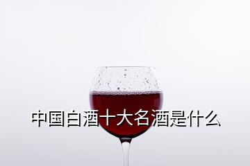 中国白酒十大名酒是什么