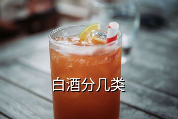 白酒分几类