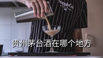 贵州茅台酒在哪个地方