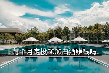 每个月定投5000白酒赚钱吗