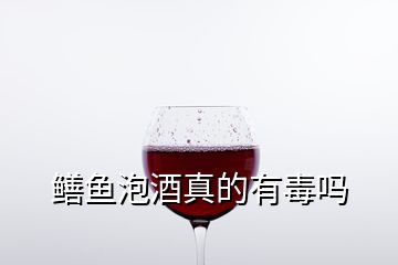 鳝鱼泡酒真的有毒吗