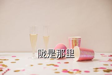 陇是那里