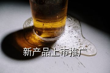 新产品上市推广