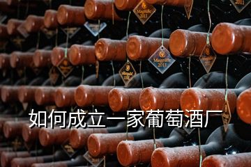 如何成立一家葡萄酒厂