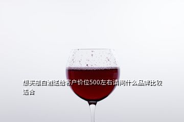 想买瓶白酒送给客户价位500左右请问什么品牌比较适合