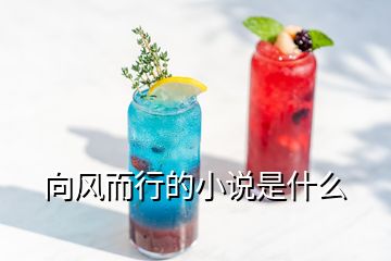 向风而行的小说是什么