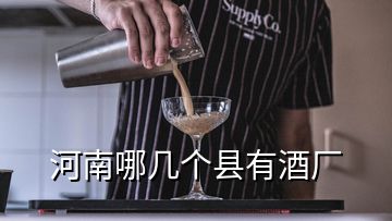 河南哪几个县有酒厂