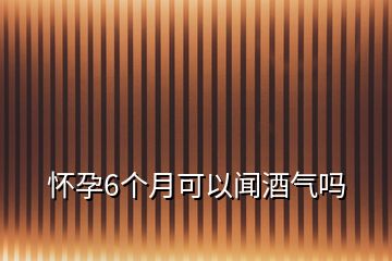 怀孕6个月可以闻酒气吗