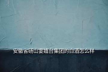 安徽省砀山宴嬉台集团的白酒怎么样