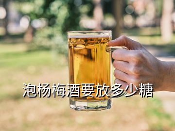 泡杨梅酒要放多少糖