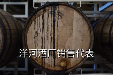 洋河酒厂销售代表