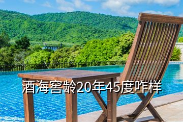 酒海窖龄20年45度咋样